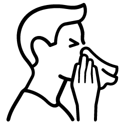 Dust Mite Allergy Relief