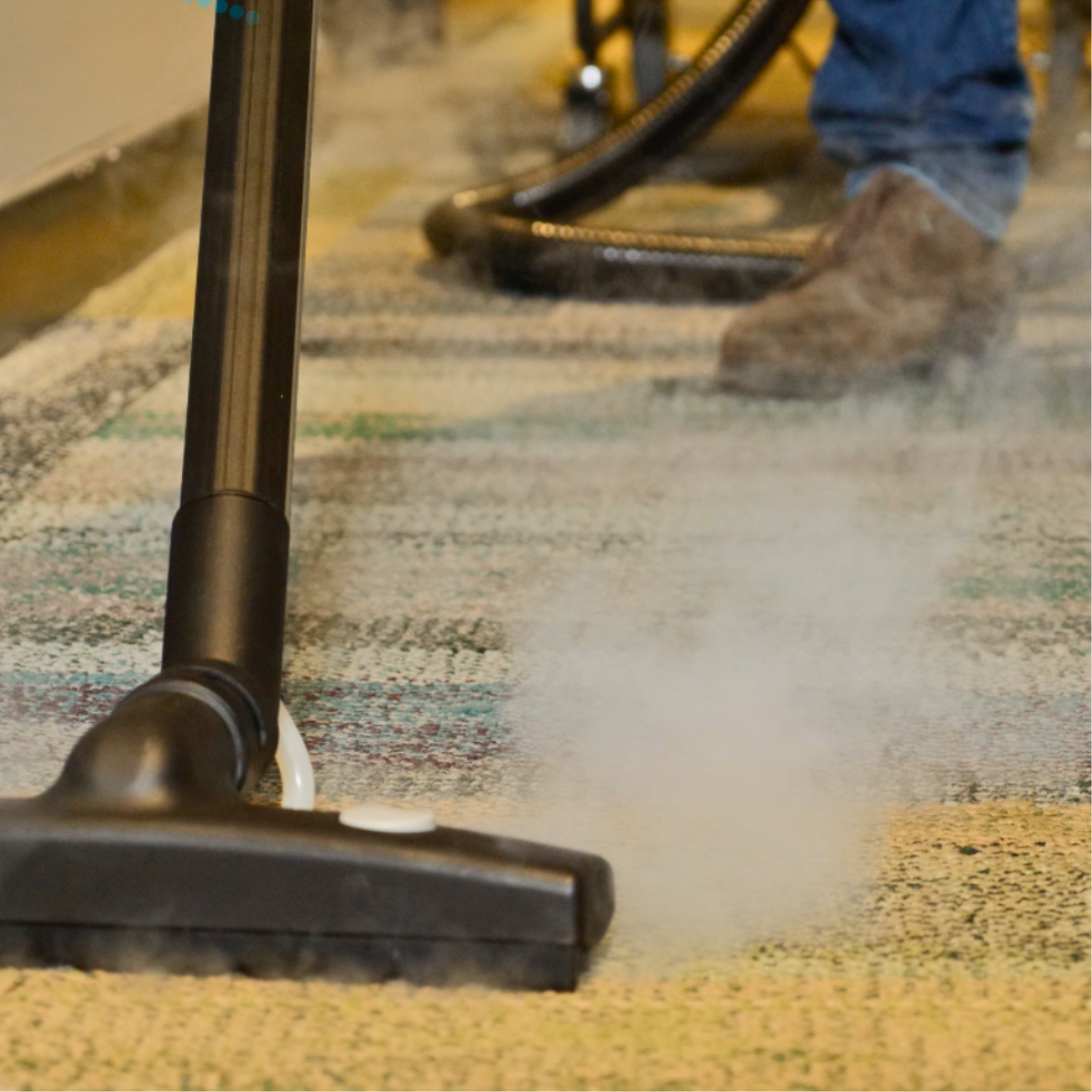 Steam Cleaner and Vacuum SV8 Lite