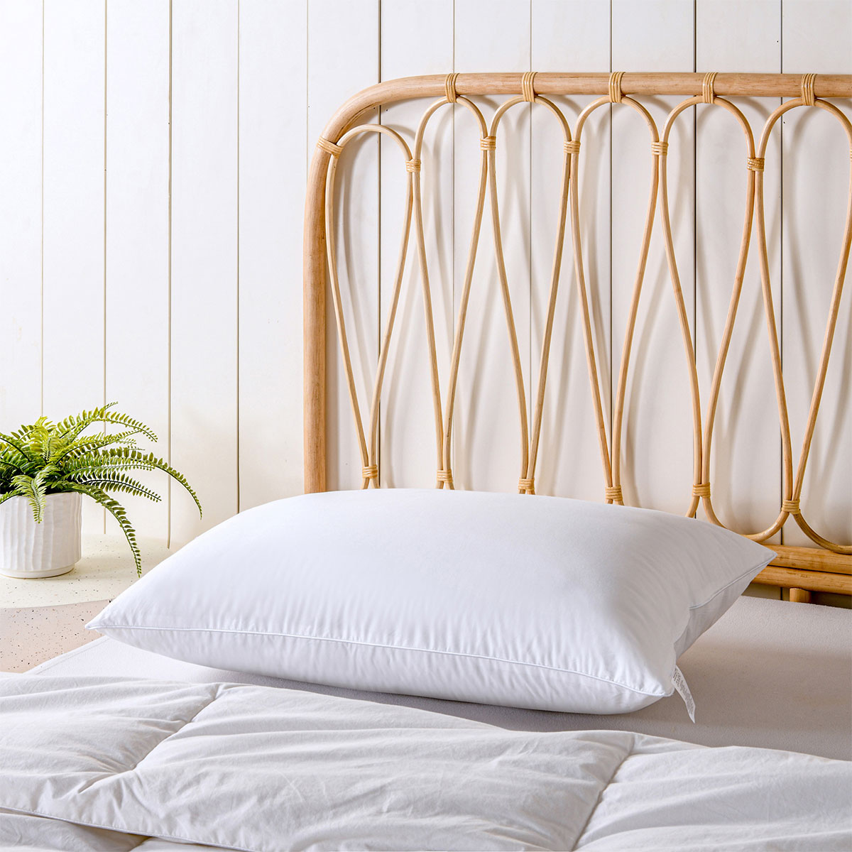 Bianca Bamboo Blend Hypoallergenic Medium Profile Pillow - Dust Mite Allergy Solutions