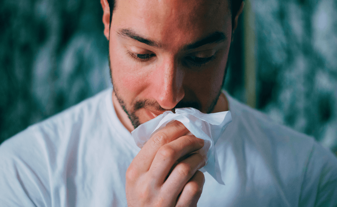 Dust mite allergies can cause Allergic Rhinitis or Hay Fever