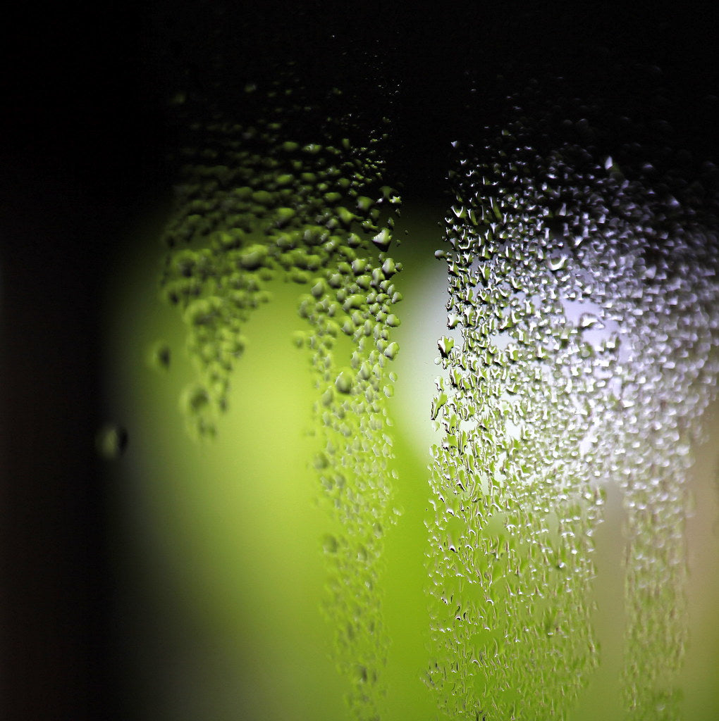 Humidity, mould and dust mites in Australia