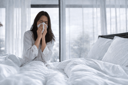 How to know if you have dust mites in your bed