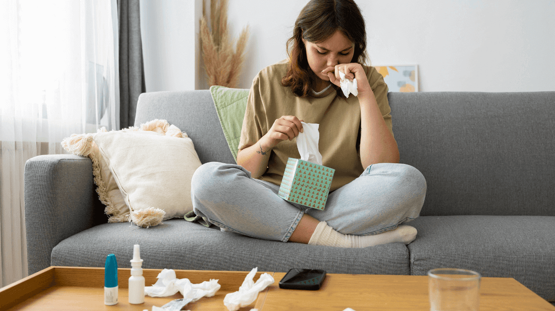 Dealing With Dust Mites: Effective Strategies From Allergy Sufferers