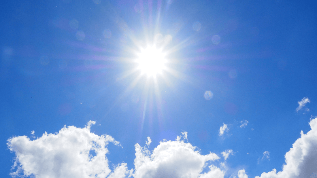 Does sun kill dust mites?