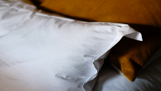 Dust Mite Pillow Covers - Dust Mite Allergy Solutions Australia
