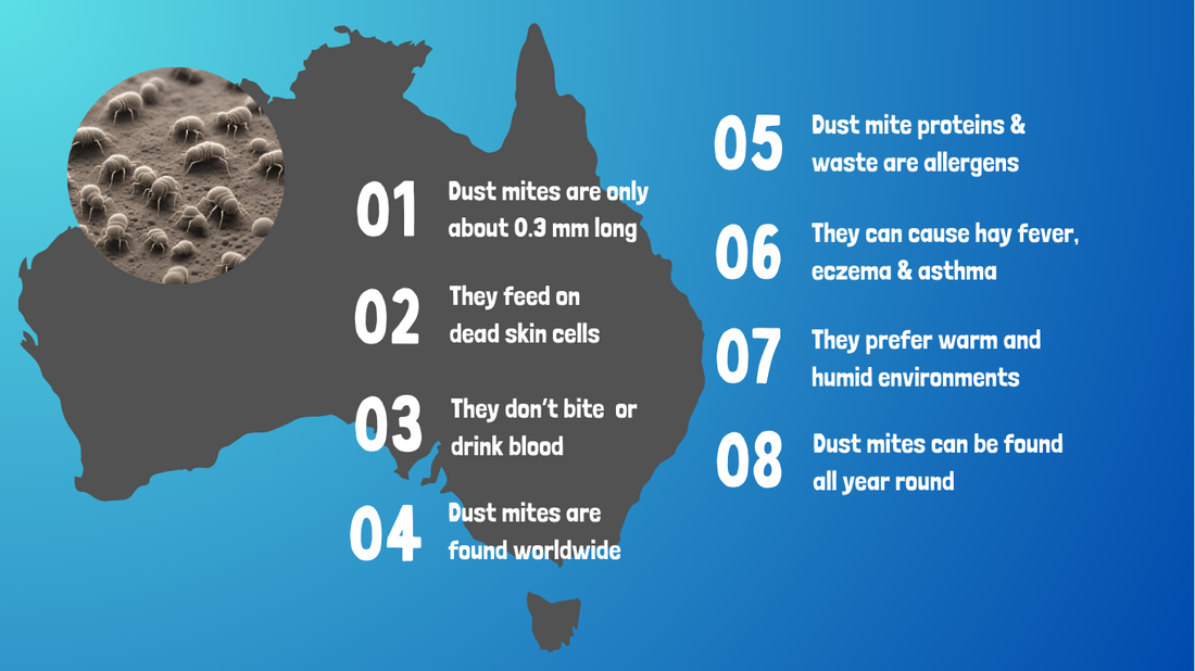 Dust Mite allergy Australia