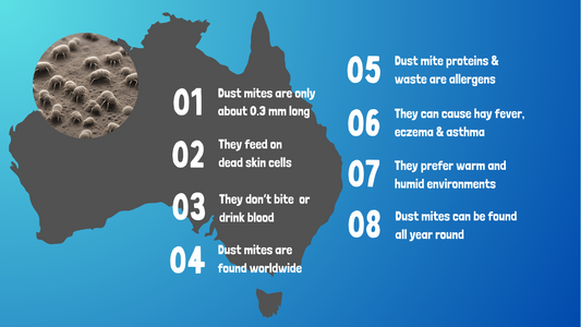 Dust Mite allergy Australia