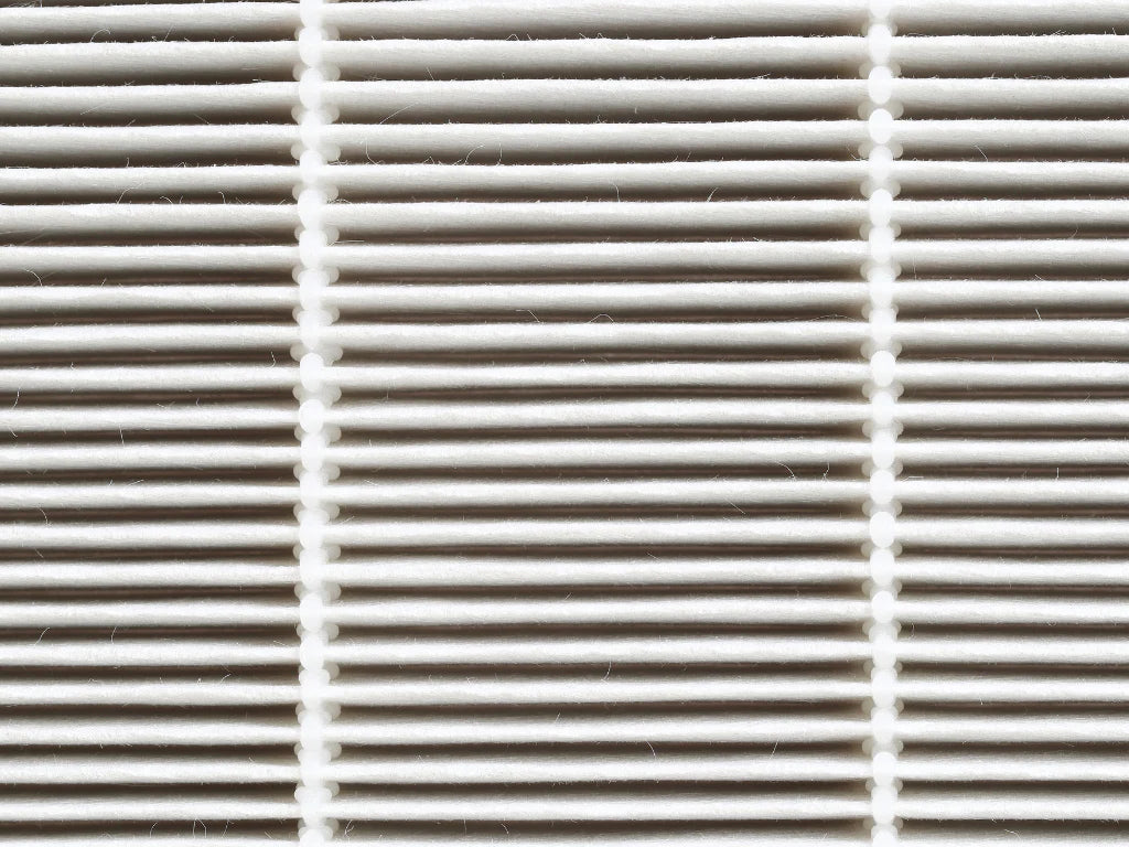 Do air purifiers work for dust mite allergies?
