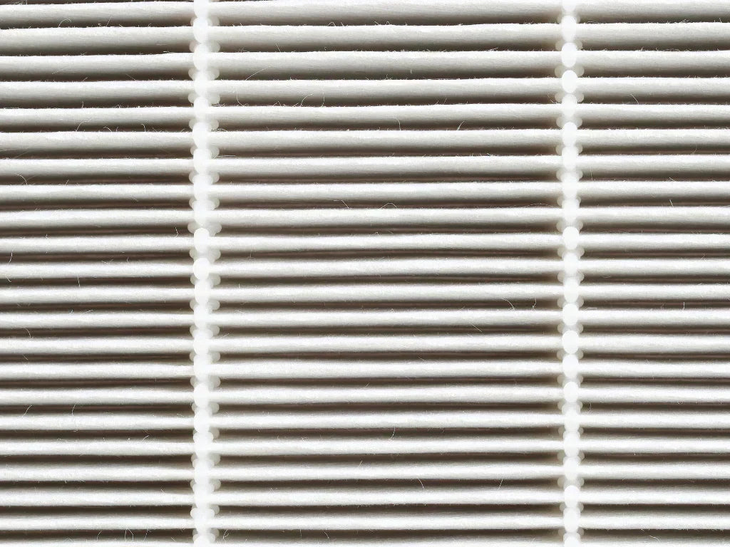 Do air purifiers work for dust mite allergies?