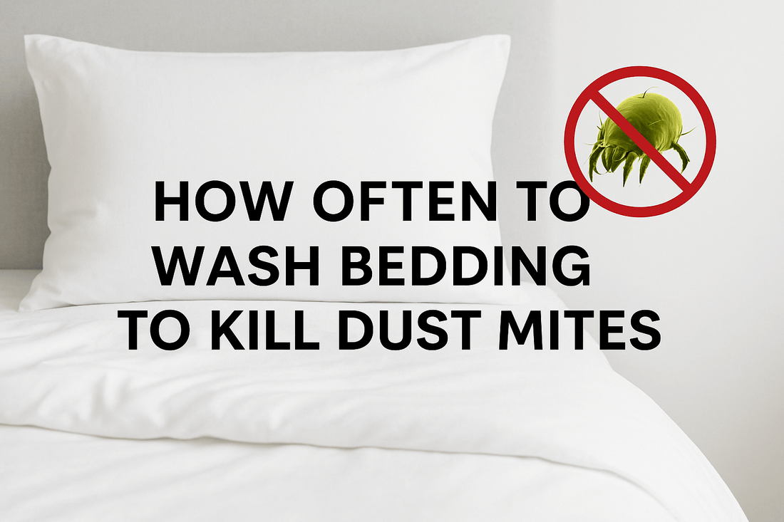 How often to wash bedding to kill dust mites