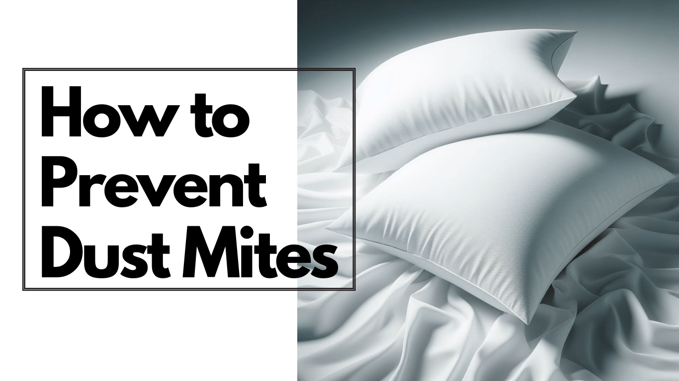 How to prevent dust mites Dust Mite Allergy Solutions