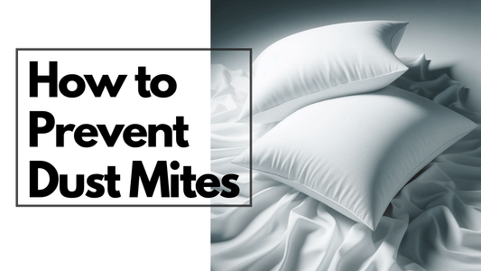 How to prevent dust mites
