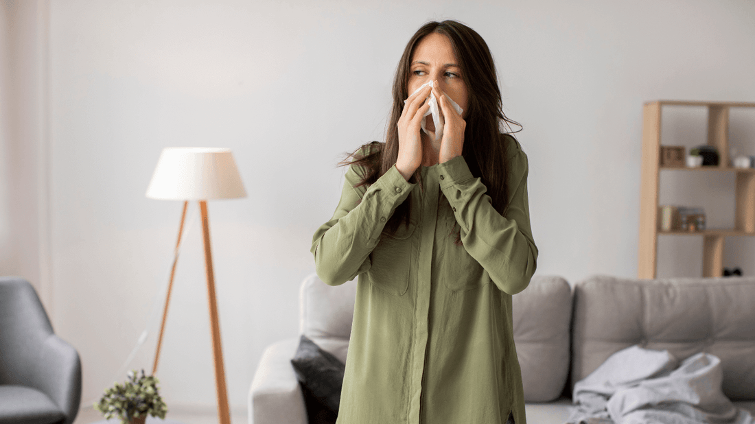 What are signs of dust mites
