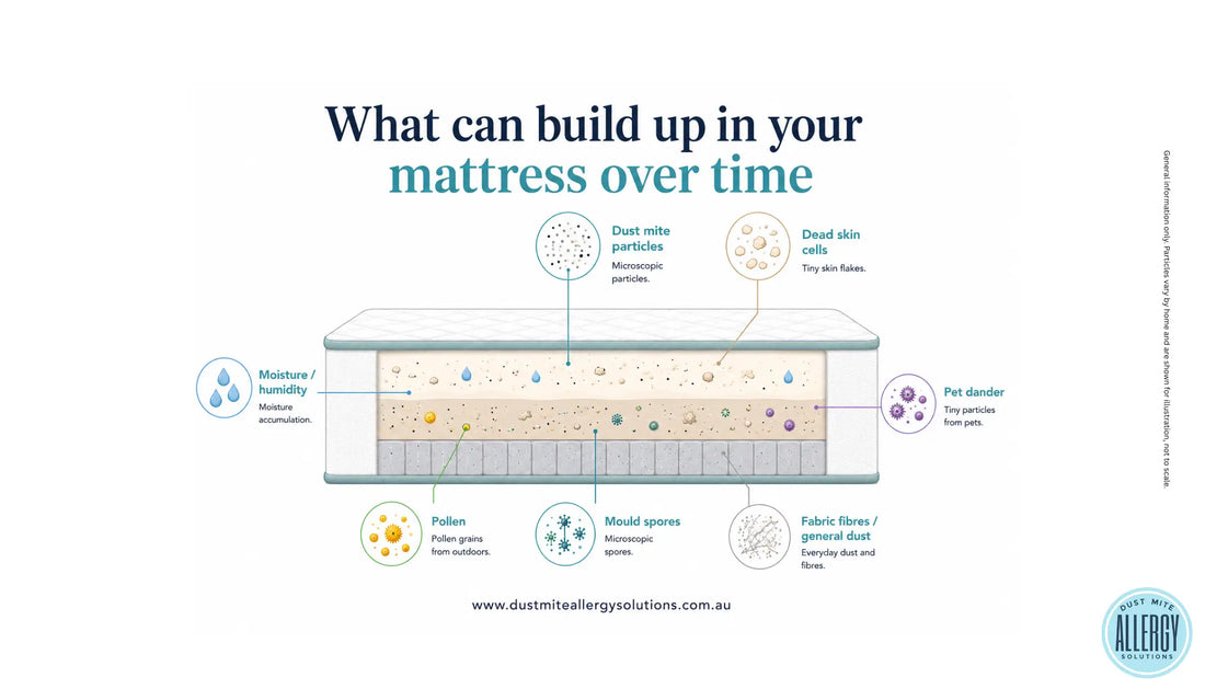 Cross-section illustration of particles that can build up inside a mattress over time