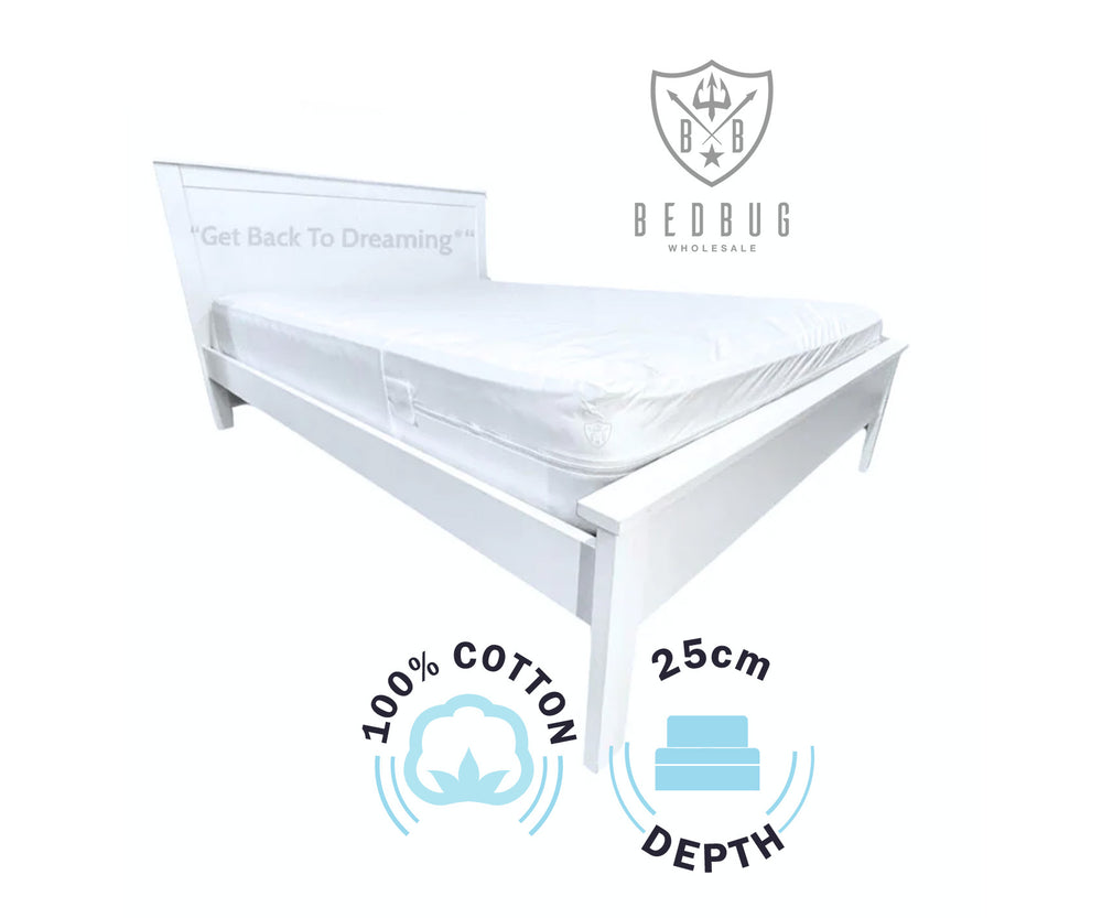 How to get rid of dust mites in your sofa Dust Mite Allergy Solutions