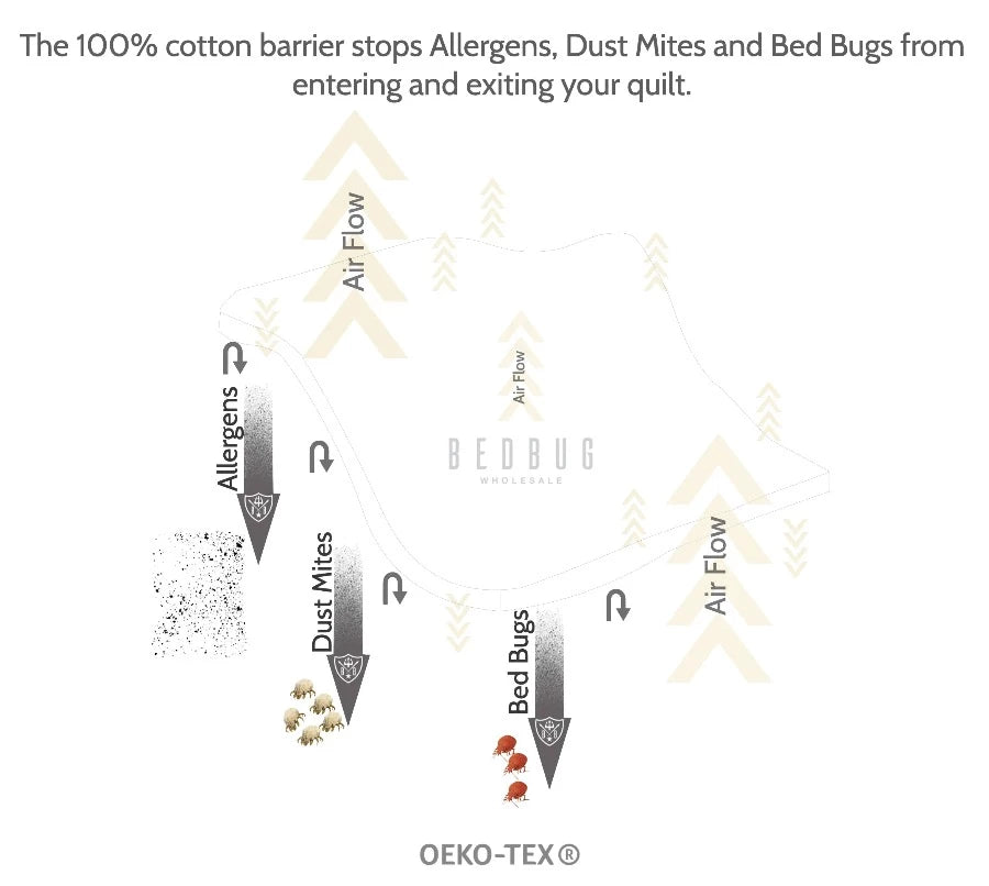 Dust Mite Pillow Protector barrier illustration I Dust Mite Allergy Solutions