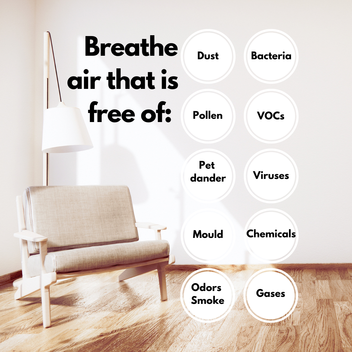 BEST AIR PURIFIERS FOR ALLERGIES DUST MITE ALLERGY SOLUTIONS