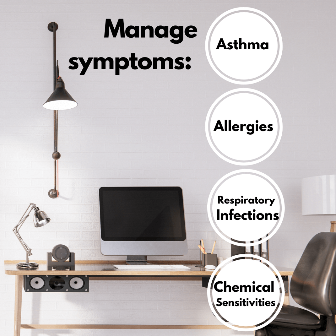 Air Purifiers for Allergies Dust Mite Allergy Solutions