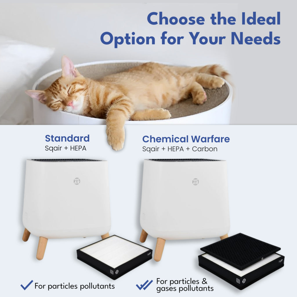 Cat lying on a white ottoman with air filter options displayed below.