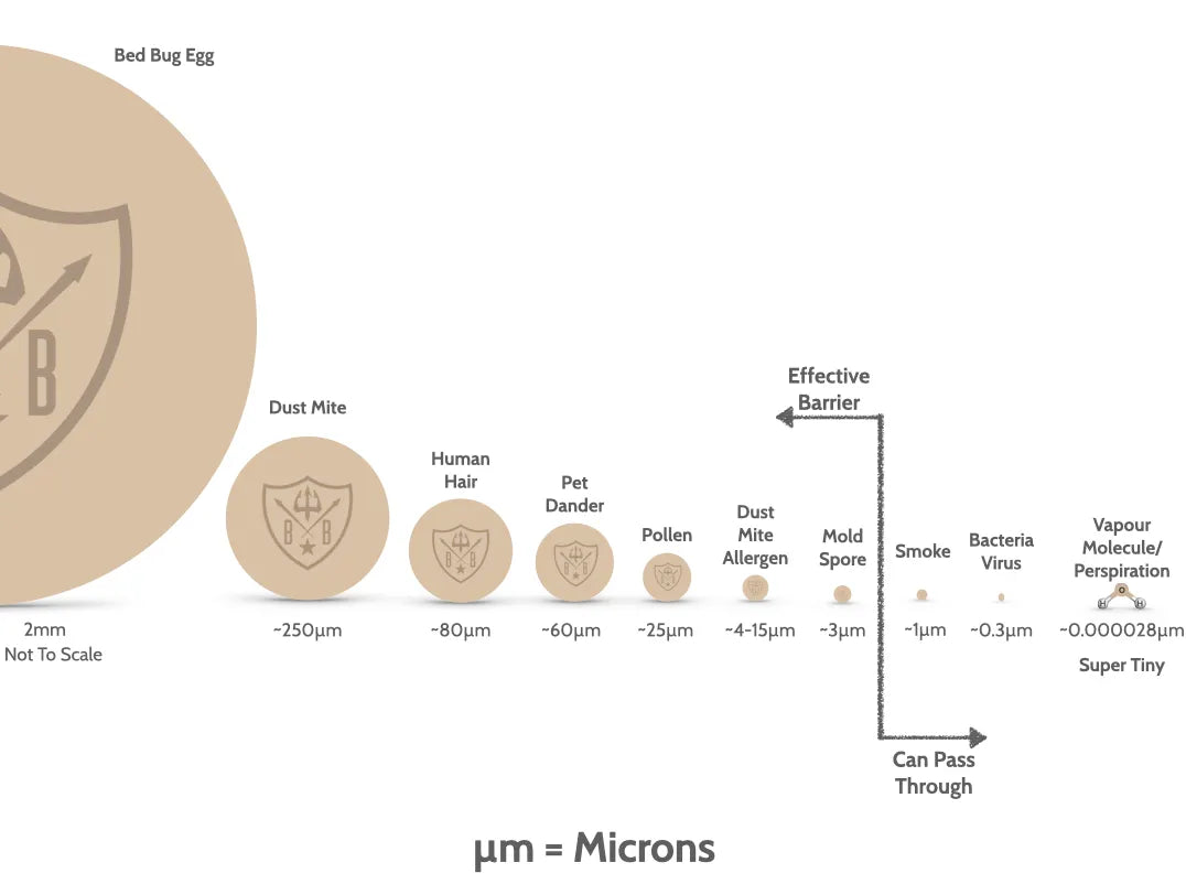 Dust mite pillow encasement pore size in microns illustration I Dust Mite Allergy Solutions