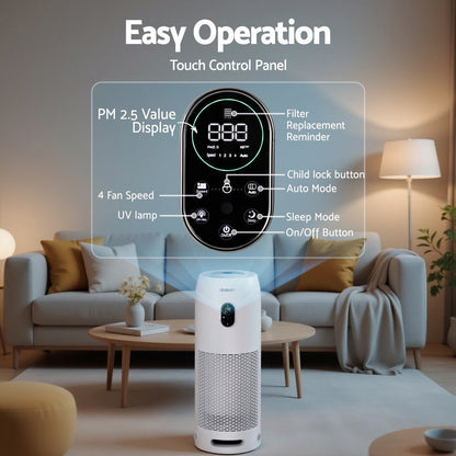 Air purifier ioniser feature for indoor air treatment