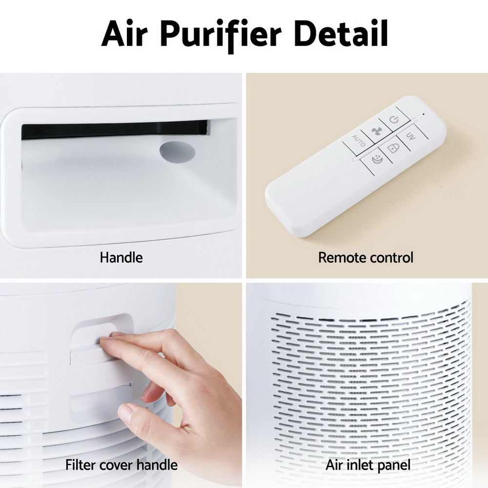 Air purifier ioniser feature for indoor air treatment