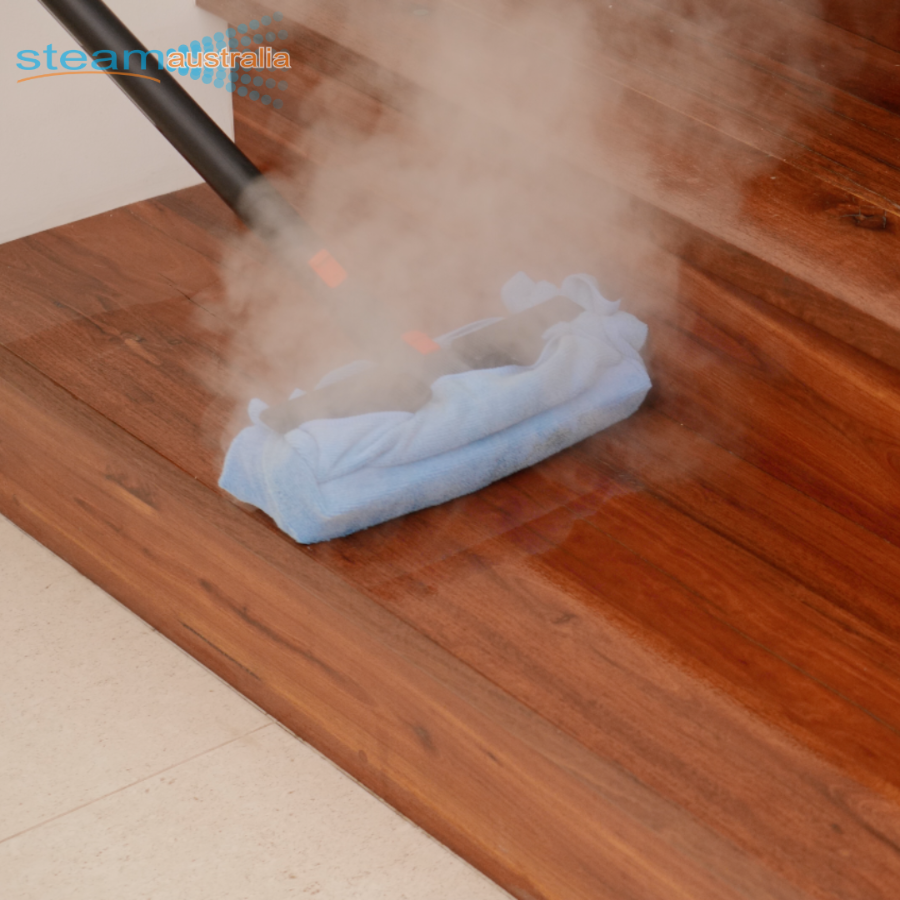 Saphira C8 Dry Steam Cleaner I Dust Mite Allergy Solutions Australia