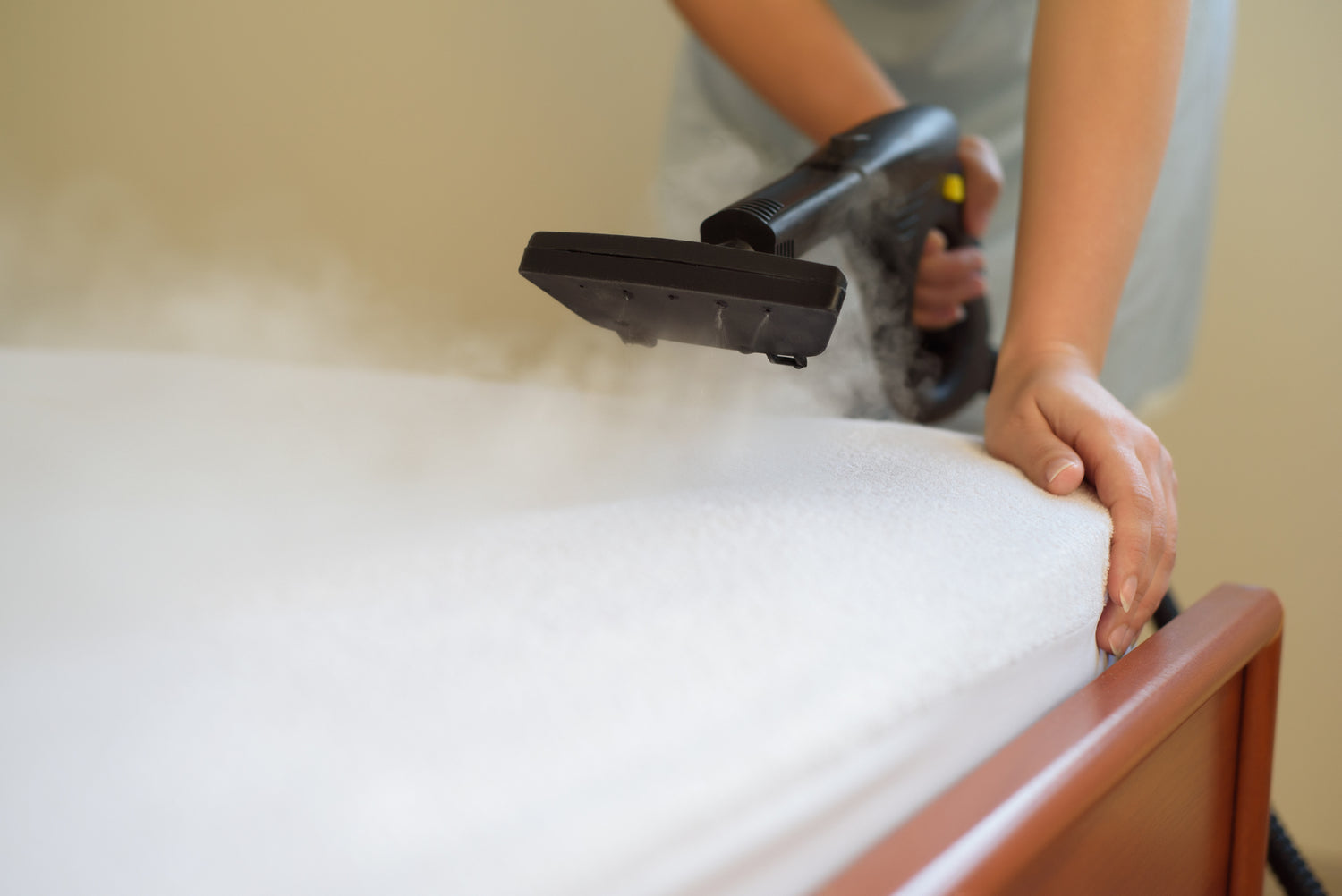 Steam clean upholstery and carpets to reduce dust mites