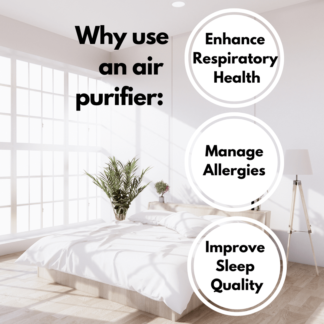 Top Air purifiers for large spaces - Dust mite allergy solutions