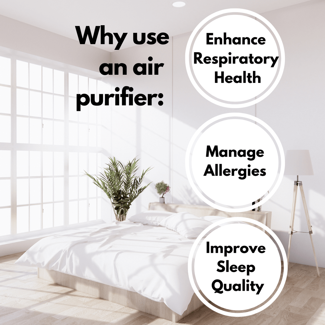 Best air filter shop for dust mites