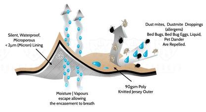 Dust Mite Mattress Protector barrier illustration I Dust Mite Allergy Solutions