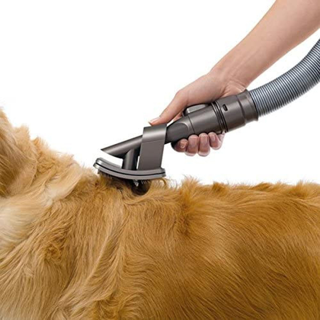 Dyson Gen5detect LED Cordless Vacuum Compatible Pet Grooming Attachment - Dust Mite Allergy Solutions