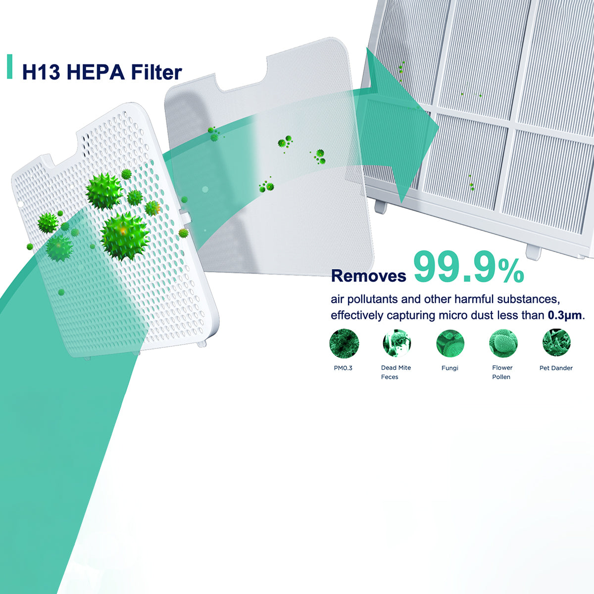 H13 HEPA filter with cleaning process and removal percentages displayed.