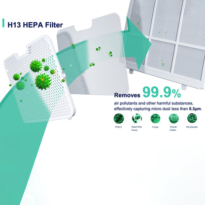 H13 HEPA filter with cleaning process and removal percentages displayed.