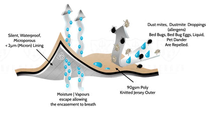 Dust mite mattress encasement effectiveness illustration I Dust Mite Allergy Solutions