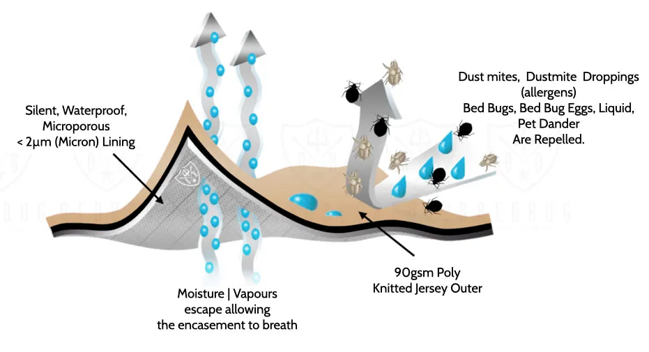 Dust mite mattress encasement effectiveness illustration I Dust Mite Allergy Solutions