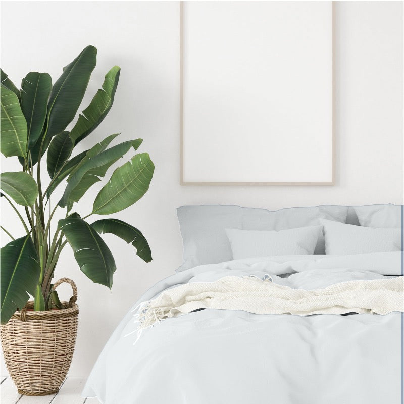 Bamboo Cotton Quilt Cover Pillowcases Set I 1000 TC I King I Cool Grey