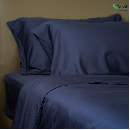 100% Eucalyptus Lyocell Bedsheet Set I Single